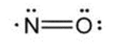 Nitric Oxide (Nitric Oxide)